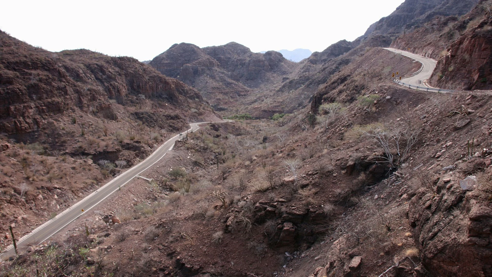Messico: Baja California del Sur